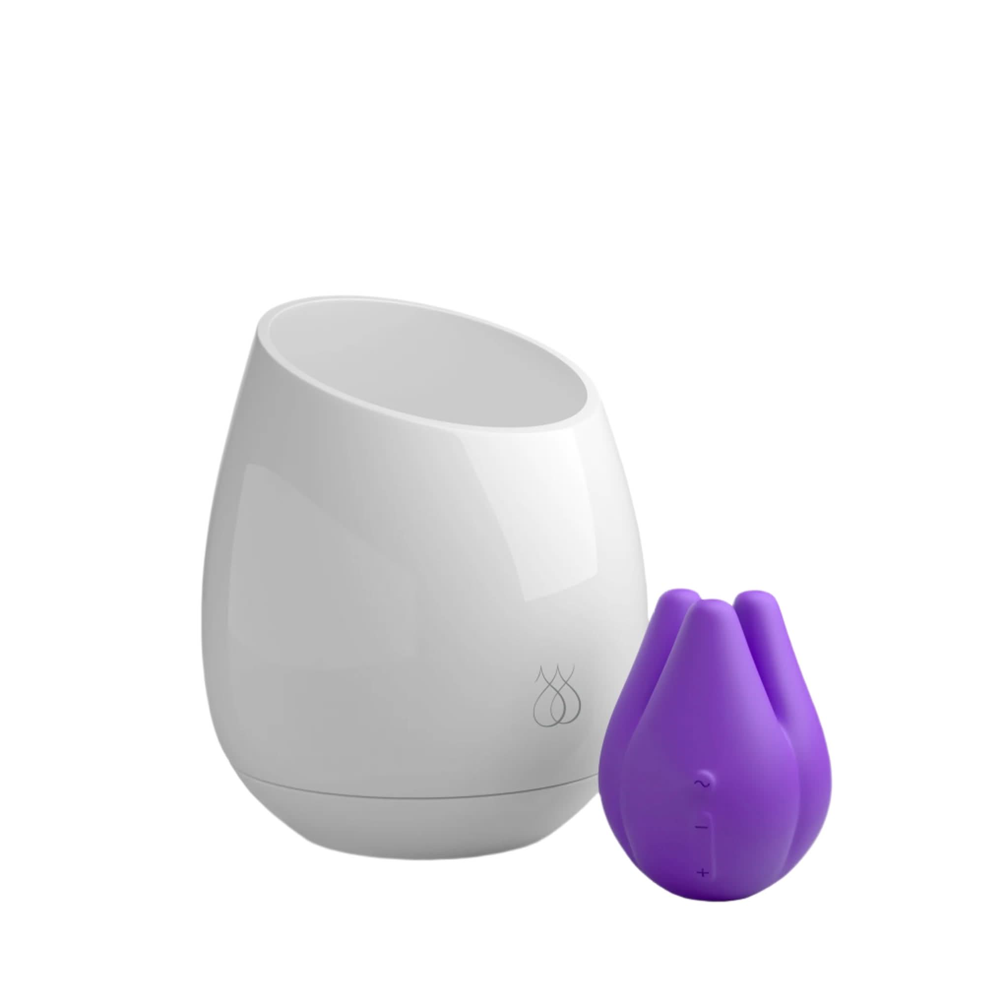 A JIMMYJANE® Pure UV Adult Toys Sanitizer and a small, purple, tulip-shaped Love Pods™ Tre Clitoral Vibrator are displayed together on a white background.