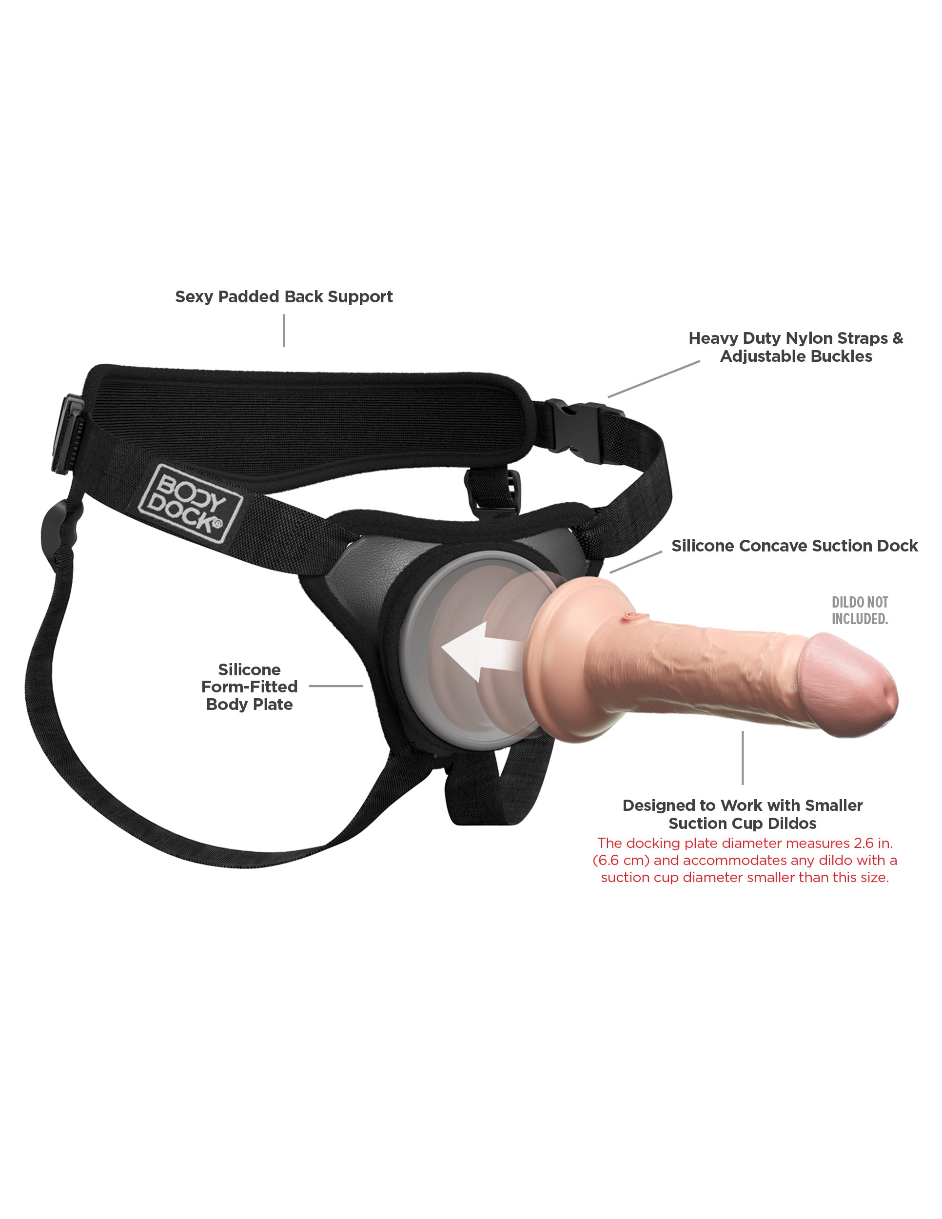 Body Dock Elite Mini