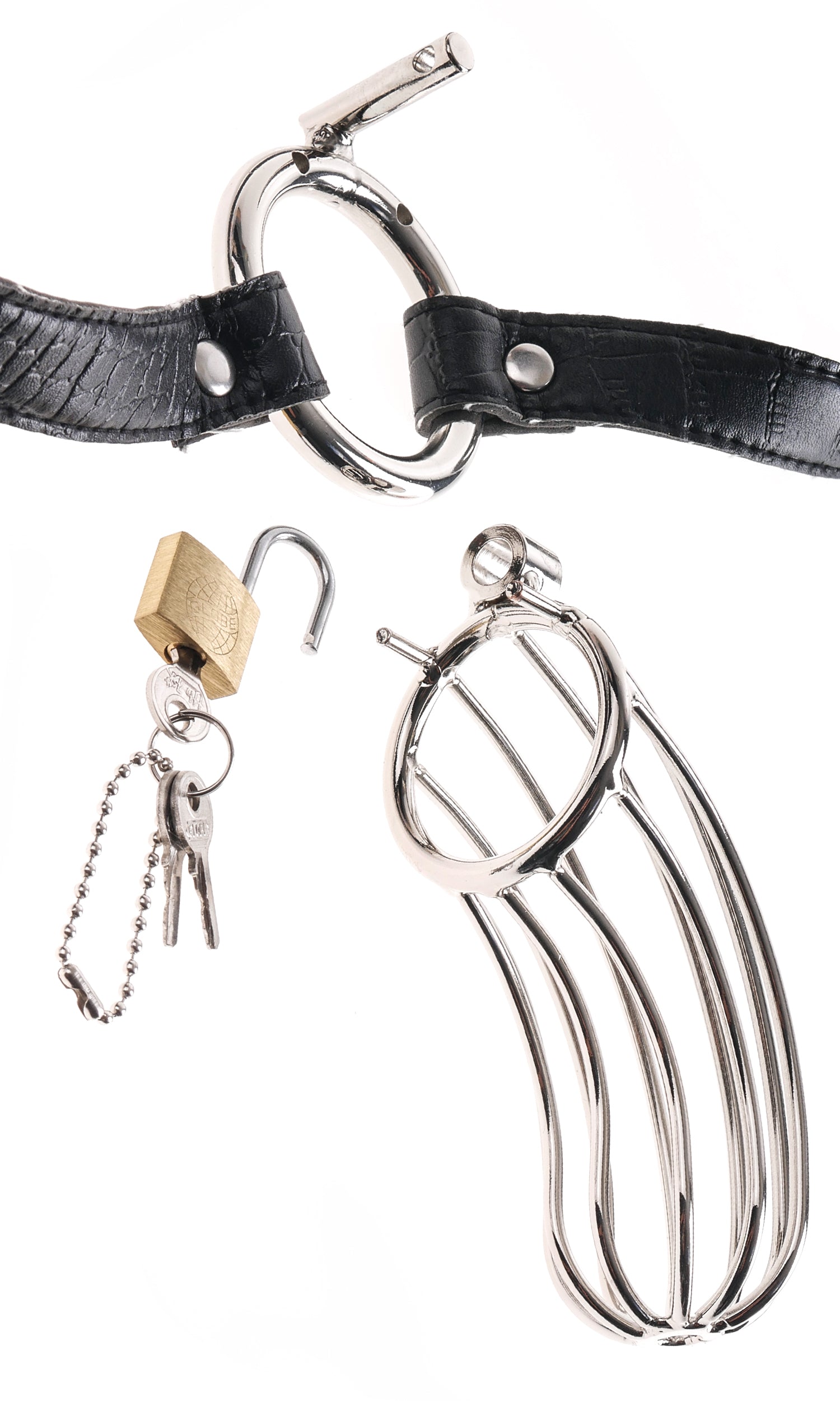 Fetish Fantasy Extreme - The Prisoner