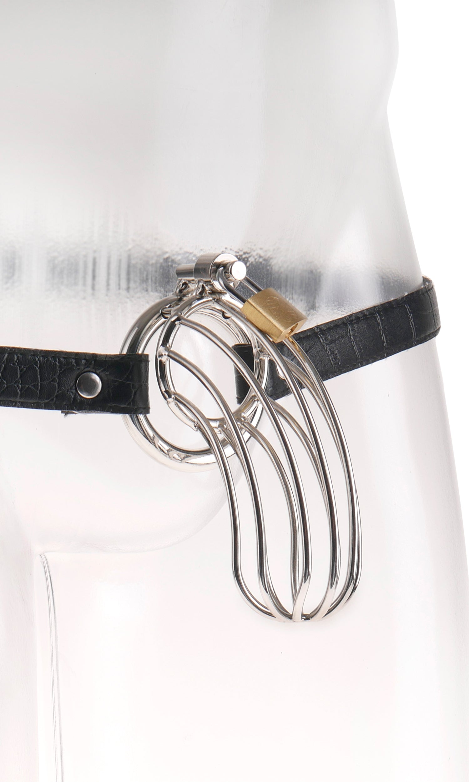 Fetish Fantasy Extreme - The Prisoner