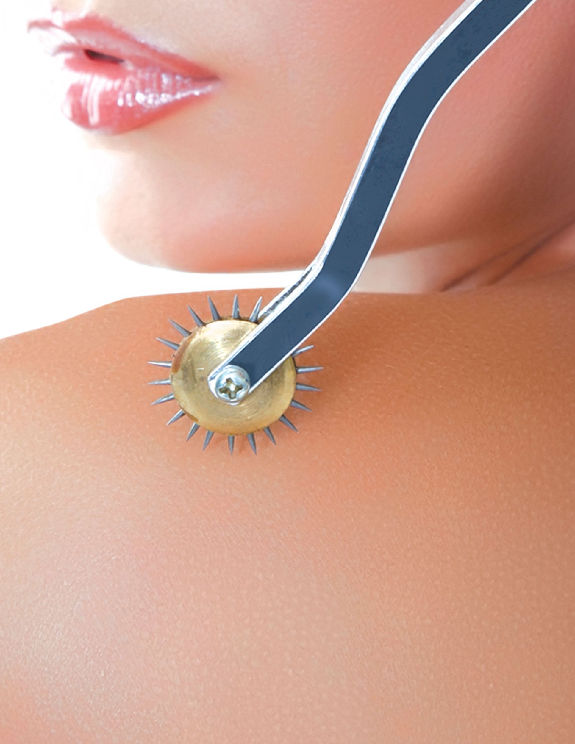 Fetish Fantasy Series - Deluxe Wartenberg Wheel