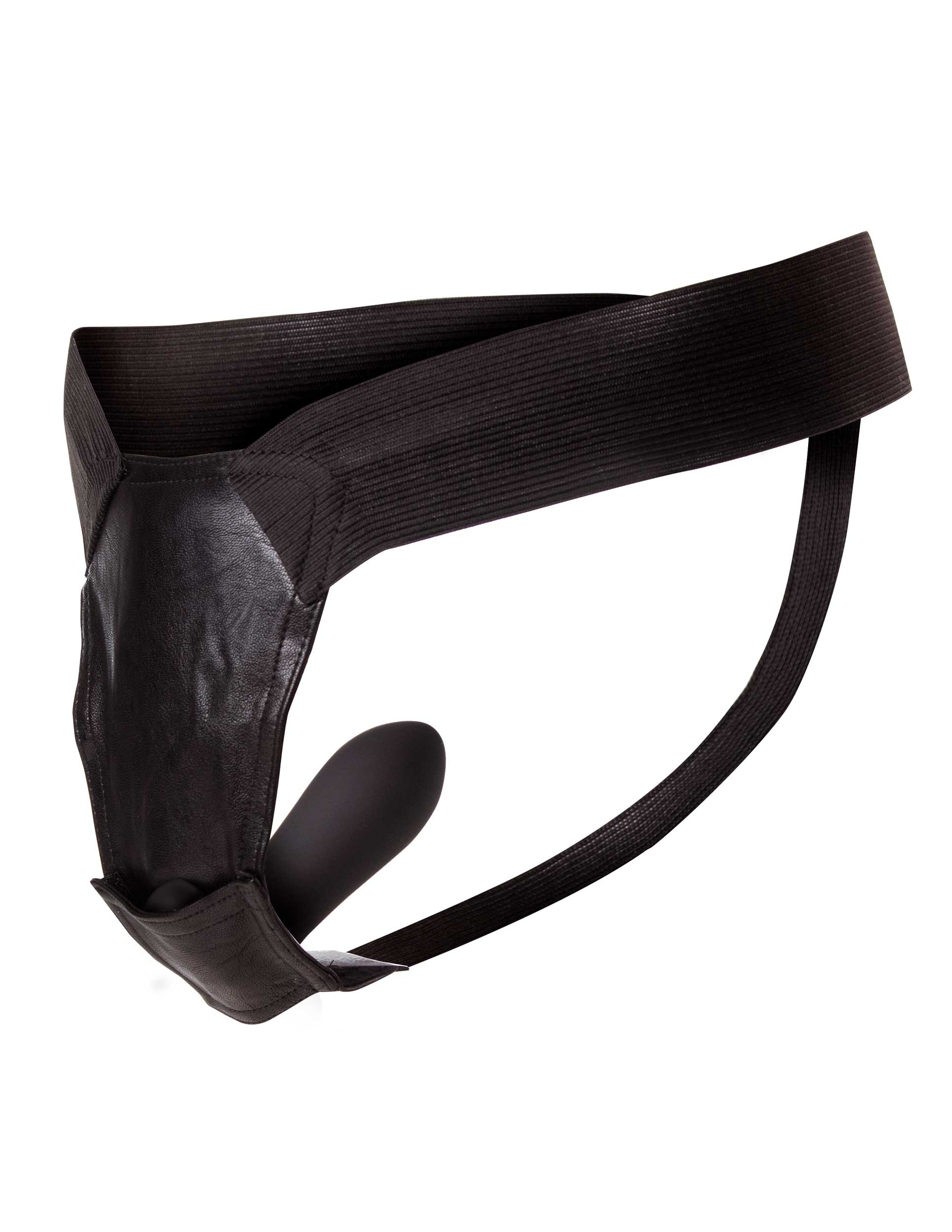 Remote Control Fantasy Panty