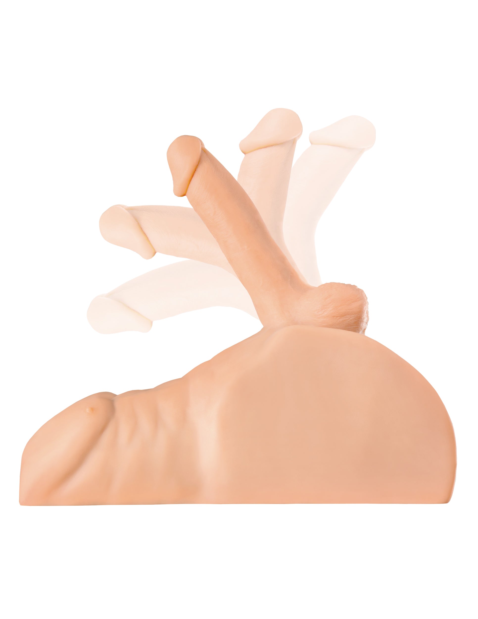 PDX Plus - Perfect Ride