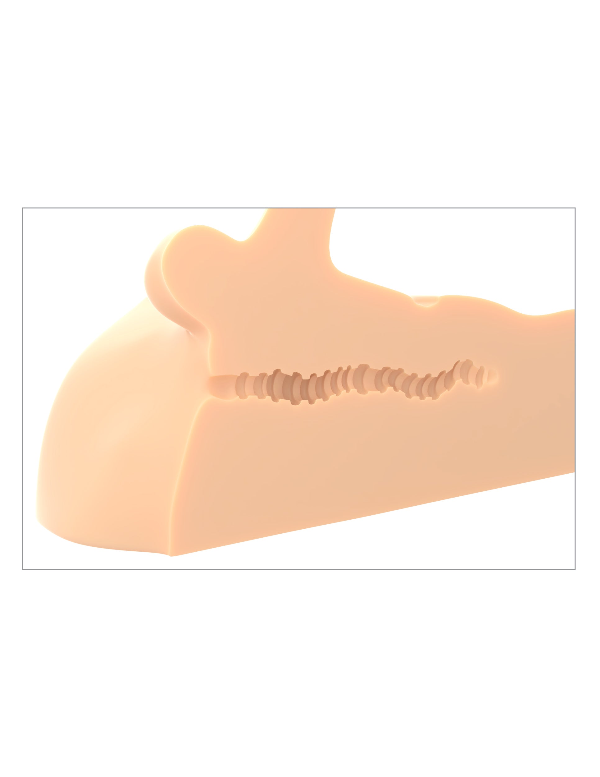 PDX Plus - Perfect Ride