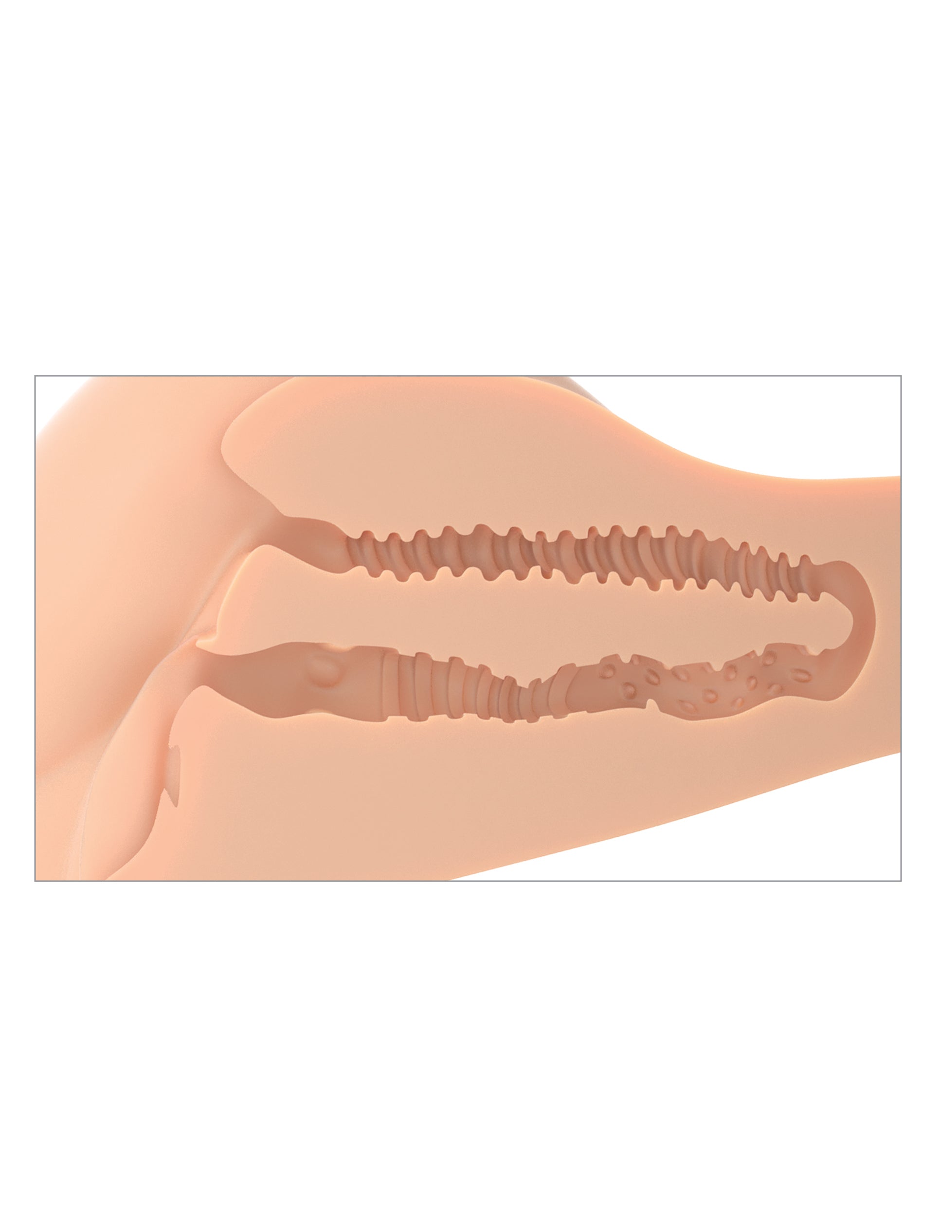 PDX Plus - 360 Banger-Light