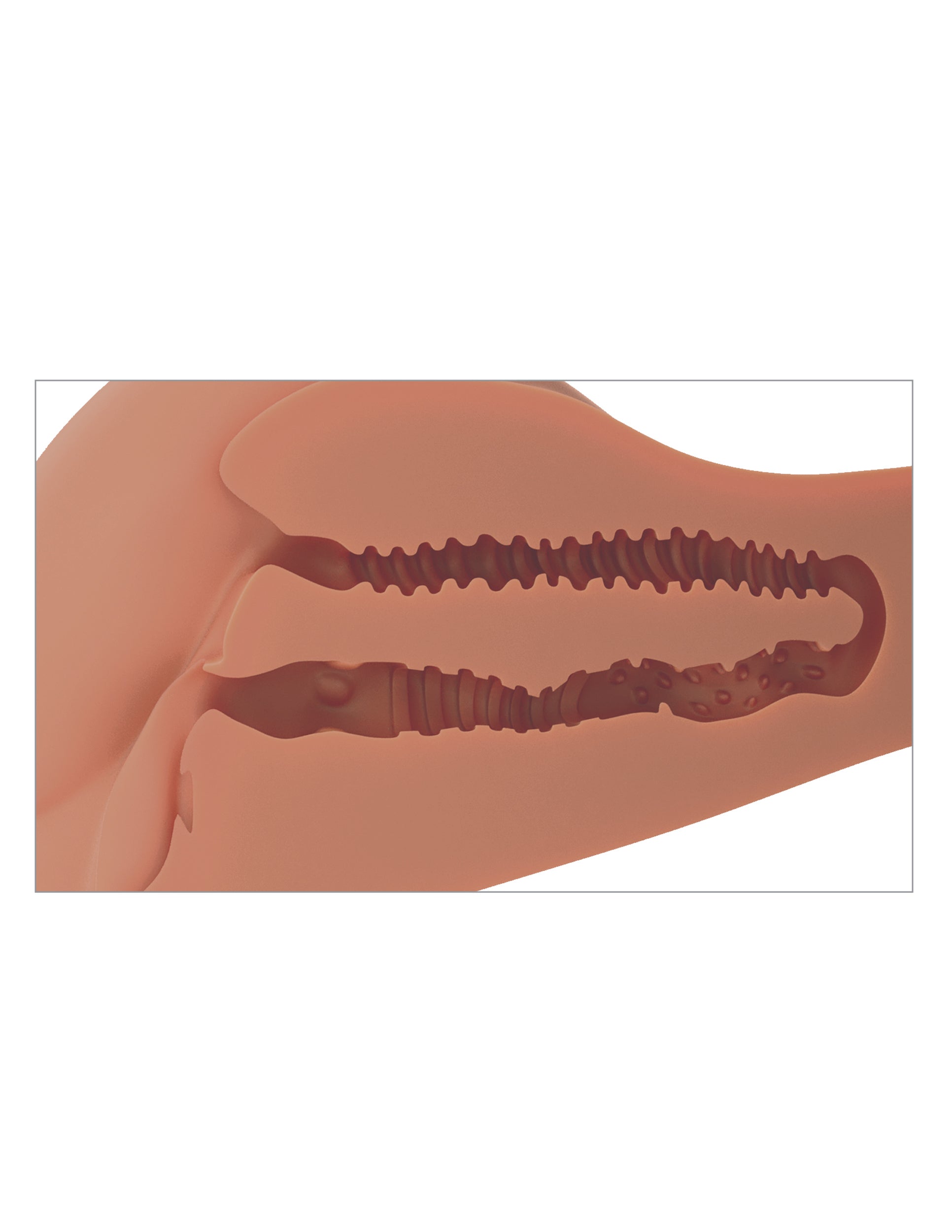 PDX Plus - 360 Banger-Tan